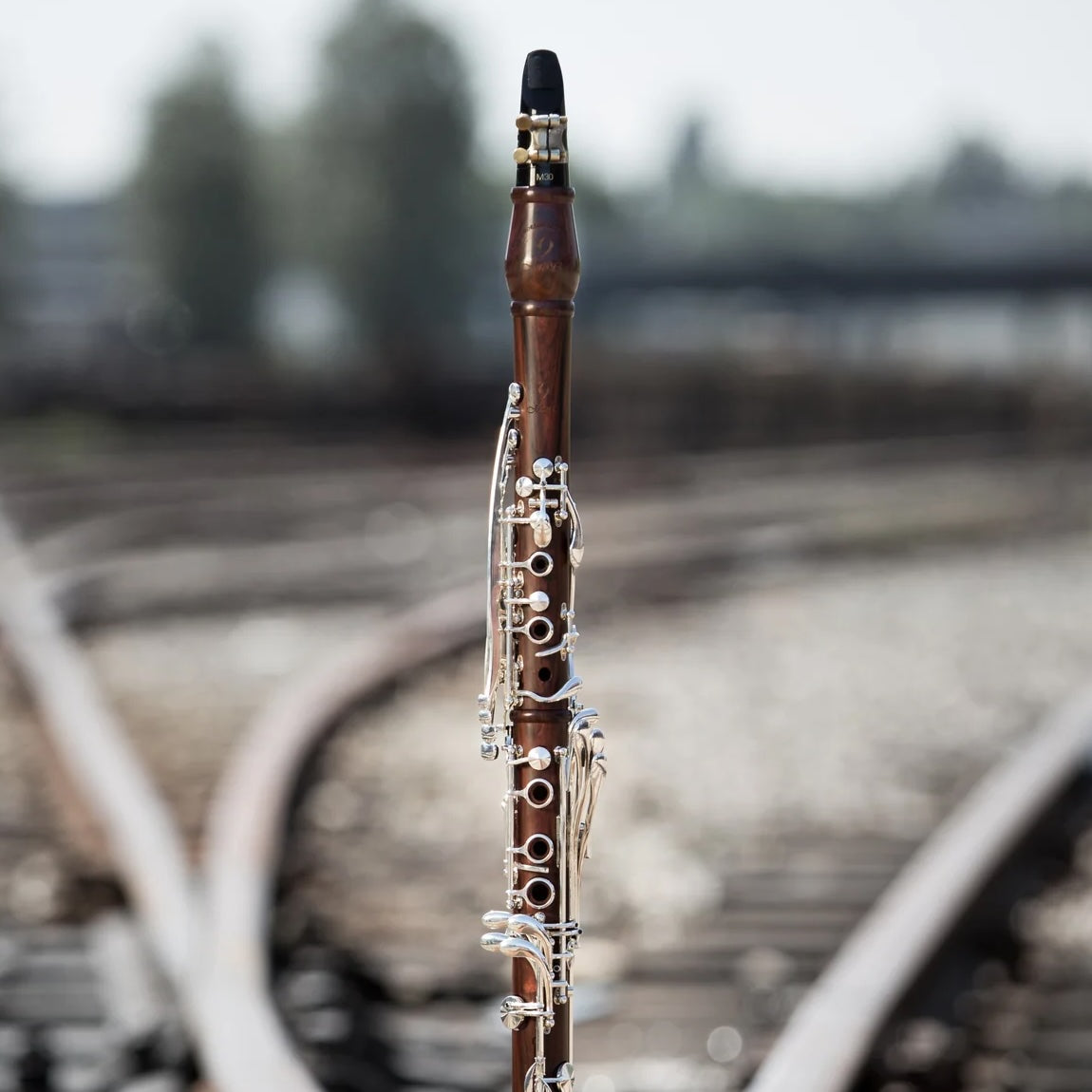 The Long Path Together