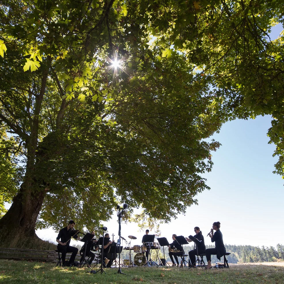 Chamber Music in the Great Outdoors
