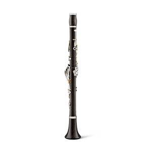 backun-bb-clarinet-essence-grenadilla-silver-with-gold-posts-back